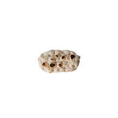 pinsetta.png