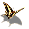 mariposa-imagen-animada-0224.gif