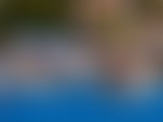Go U, NU: Field Hockey Edition