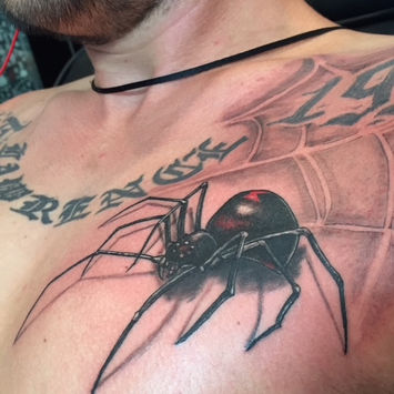 Color Tattoo, spider tattoo, realism tattoo, 3-d tattoo
