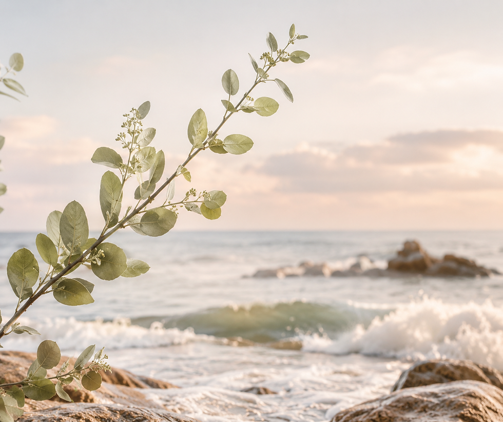 Why I Love Homeopathy