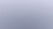 Screenshot 2026-05-31 162945_edited_edited.jpg