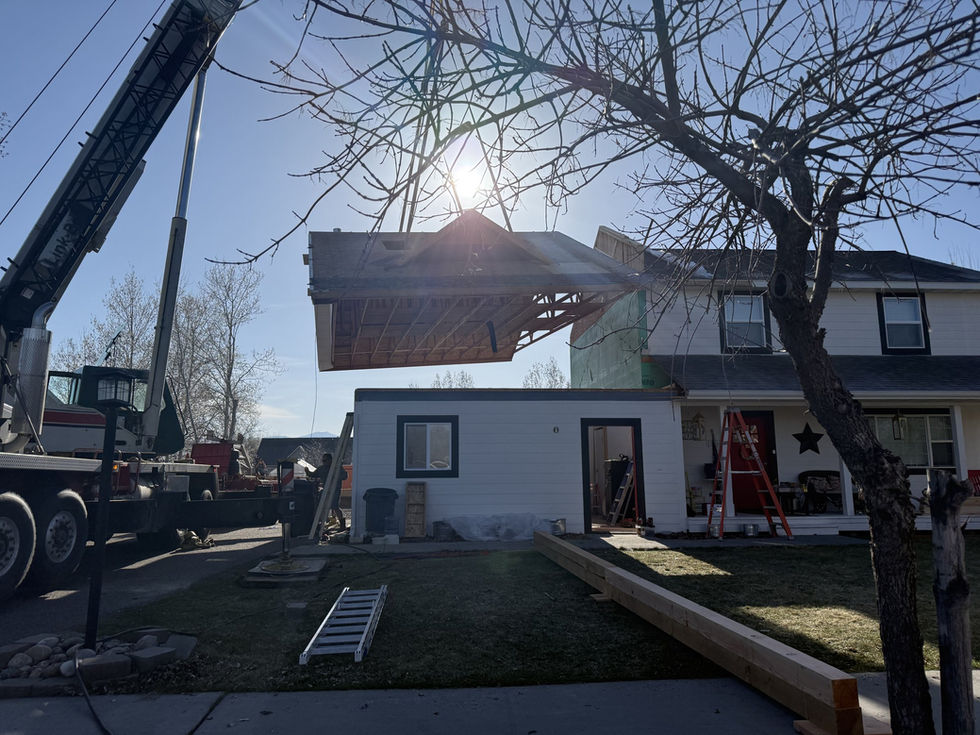 Large framed wall panel swinging on a crane, backlit by low sun through bare trees