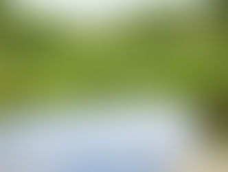 Reconocimiento Oficial del Humedal Urbano El Batro: Implicancias Legales y Ambientales para Proyectos