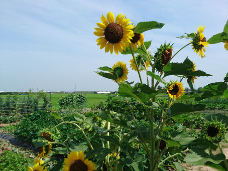 皆様もご注意を!!