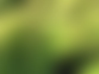 ☆秋　Ｐart2☆