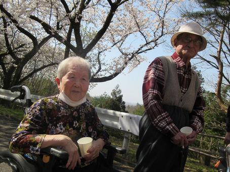 4月の行事は✿お花見ドライブ✿でした