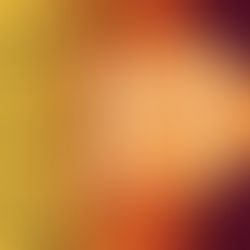 [ JUNGLE CATS ] Nouvel album "Taxi Driver"  