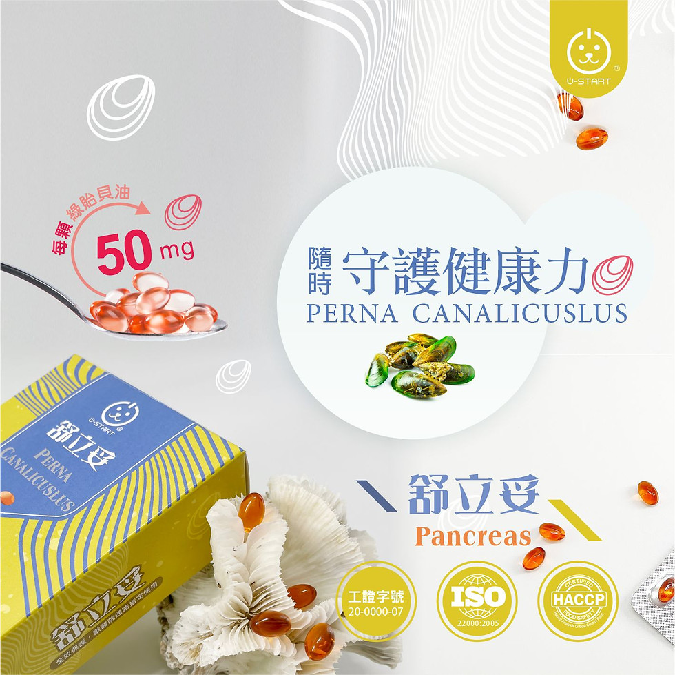 縮圖：舒立妥Perna Canalicuslus