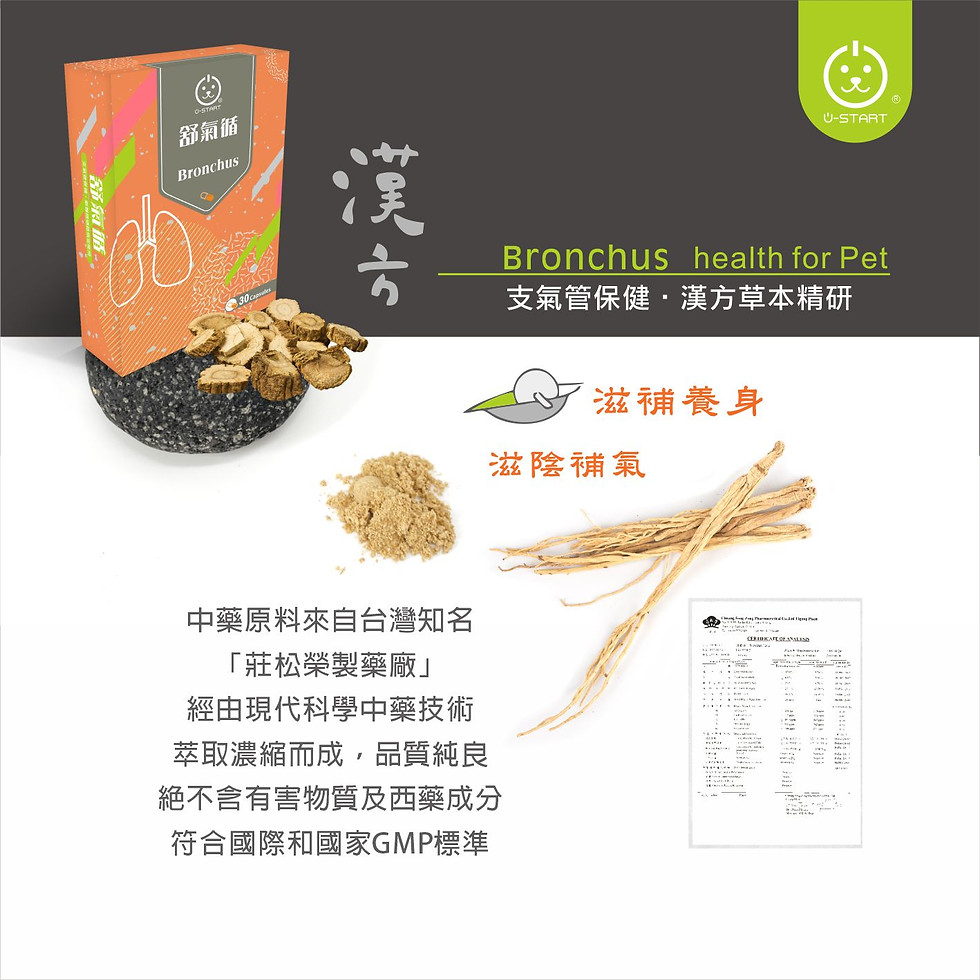 縮圖：舒氣循 Bronchus