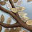 Thumbnail: Engraved Leaf
