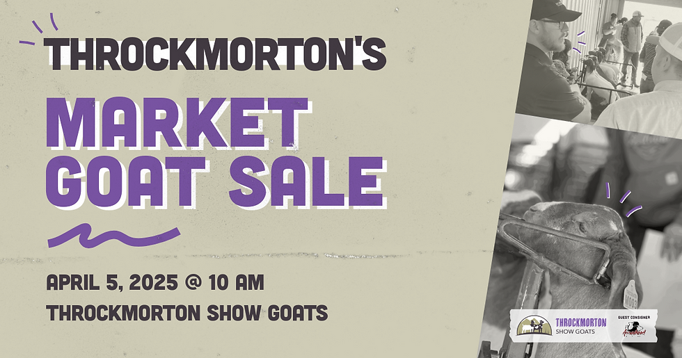 Throckmorton's Market Goat Sale