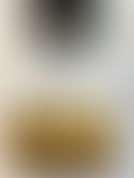 Honored with the German Medical Award 2025