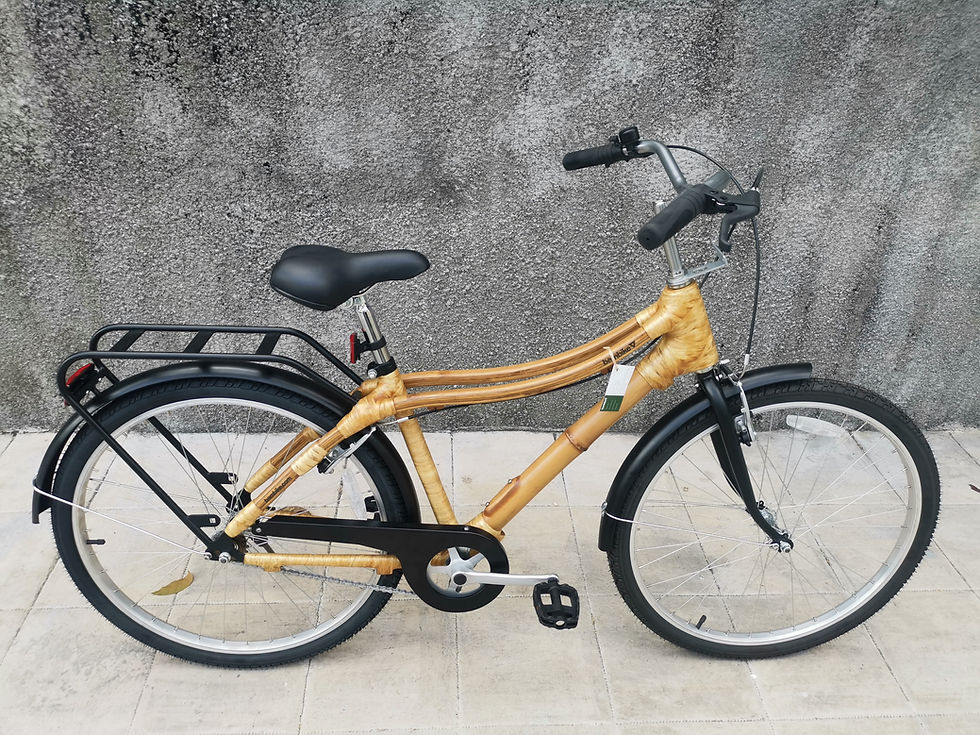 Thumbnail: Silay 2.0 Town Bike