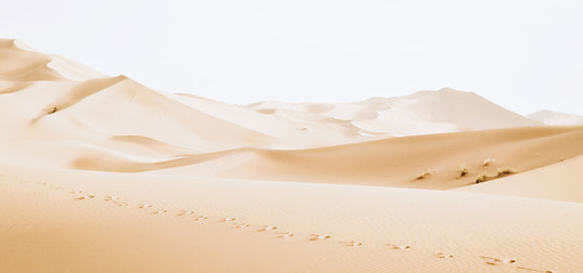 Desert Dunes