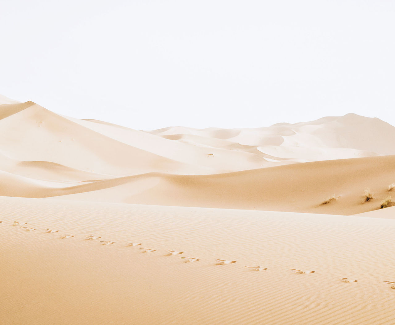 Desert Dunes
