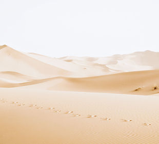 Desert Dunes