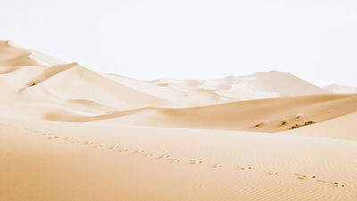 Desert Dunes