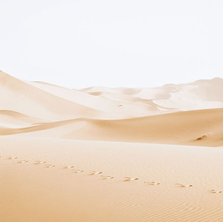 Desert Dunes