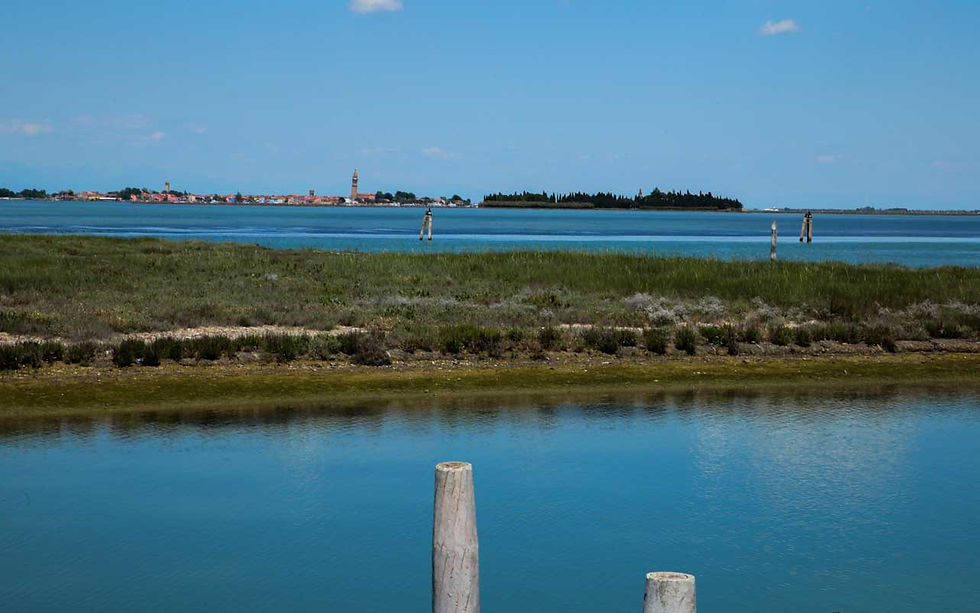 Laguna di venezia
