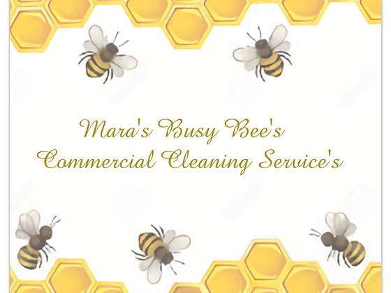 Deep cleans, contracts, Airbnb, competitive rates, exceed industry standards