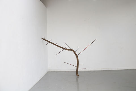 Arborium