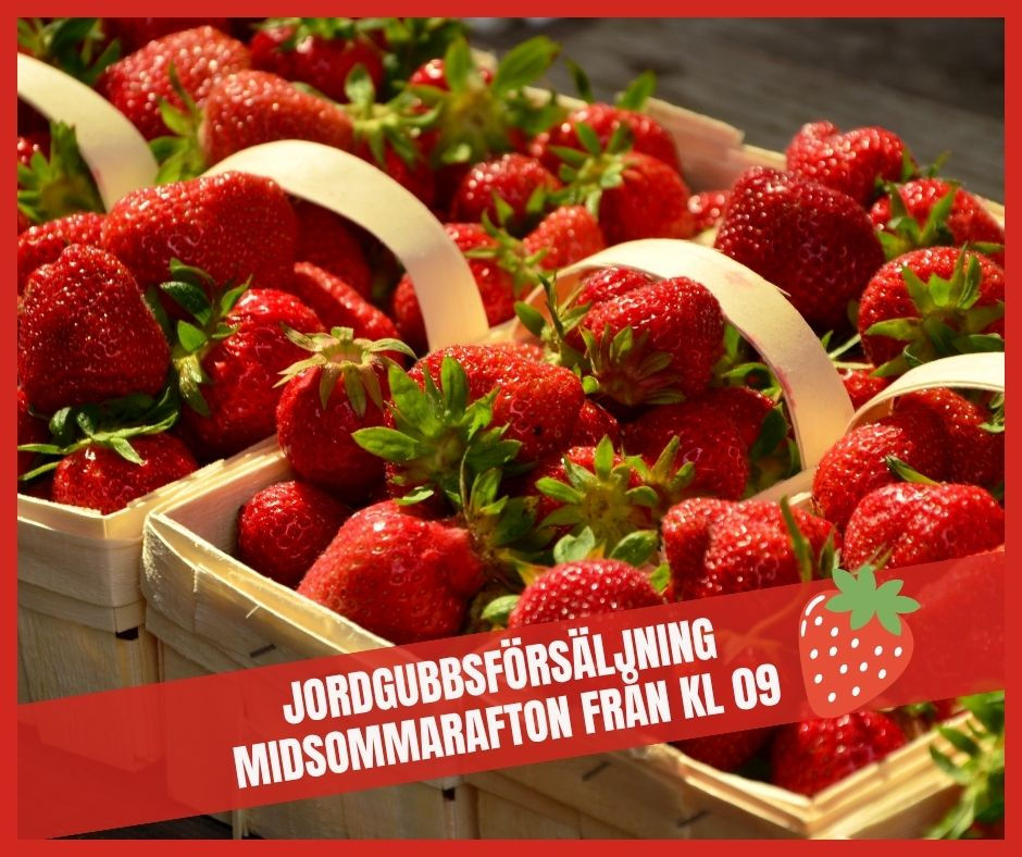 Jordgubbsförsäljning midsommarafton kl 09