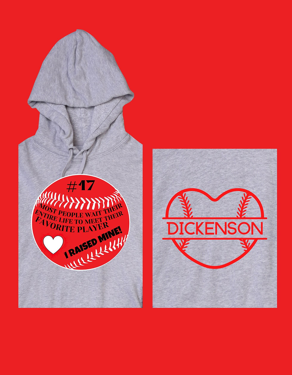 BASEBALL: I RAISED MY FAVORITE PLAYER