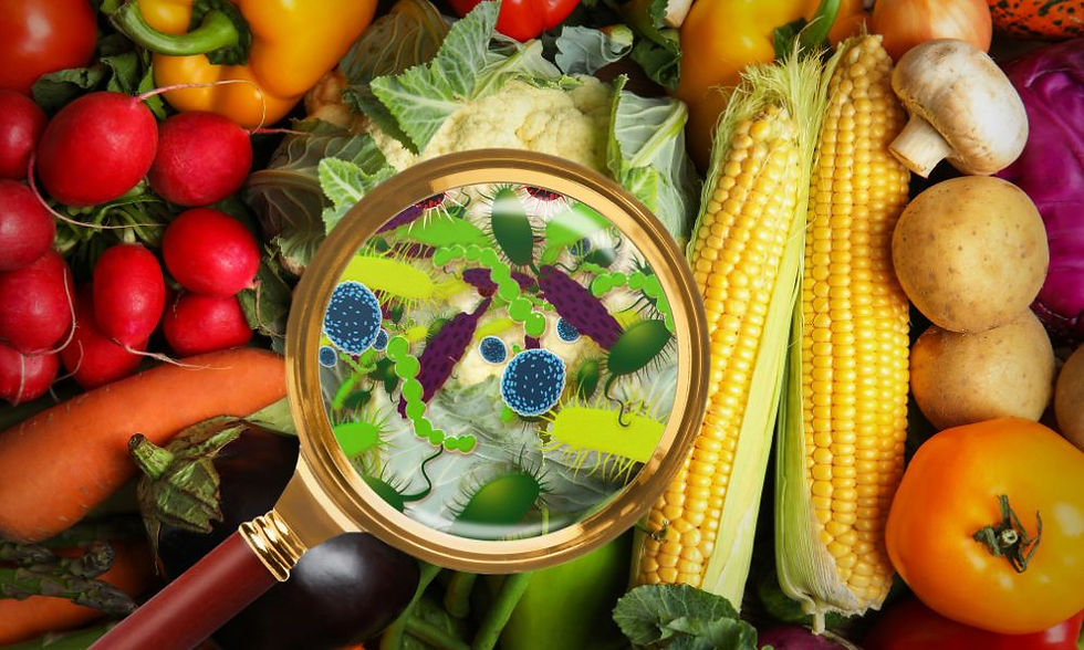focus on freshness and quality