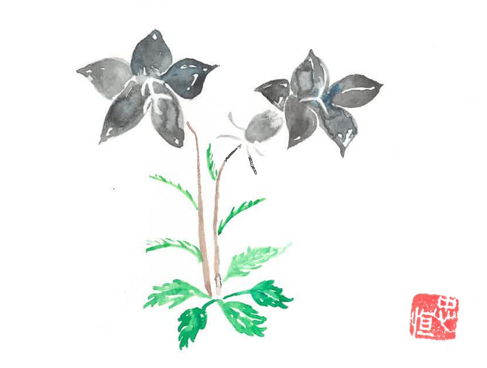 Illustration by Tonari Gumi member Mr. Aso.