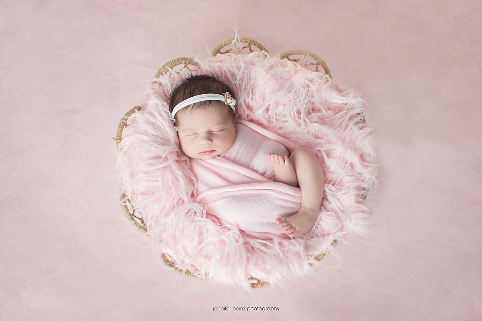 lancaster newborn photographer