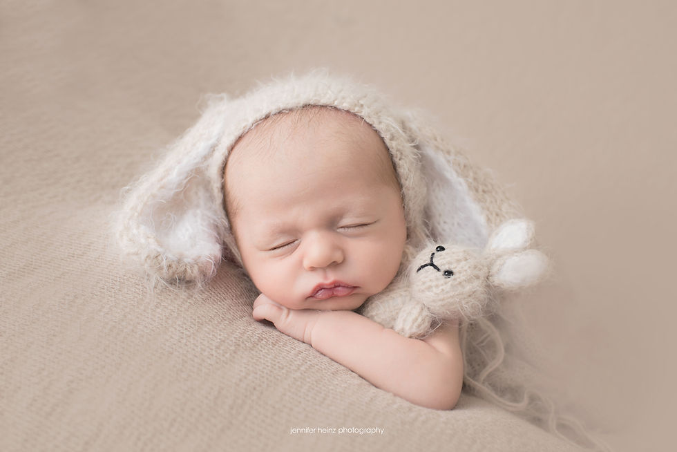 downingtown newborn photographer
