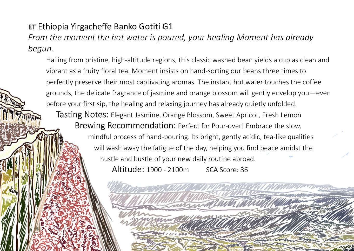 Ethiopian Yirgacheffe Banko Gotiti (Grade 1)