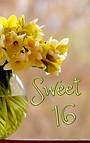 Sweet 16 - Yellow in vase.jpg
