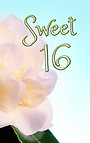 Sweet 16 - White rose.jpg