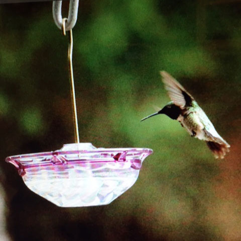 Thumbnail: Aspects HummBlossom Plum Hummer Feeder 434