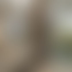 Sustainability Meets Luxury