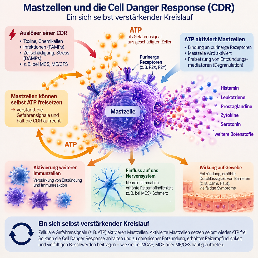 Mastzellen und die Cell Danger Response