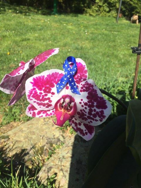 Ruban sur fleur