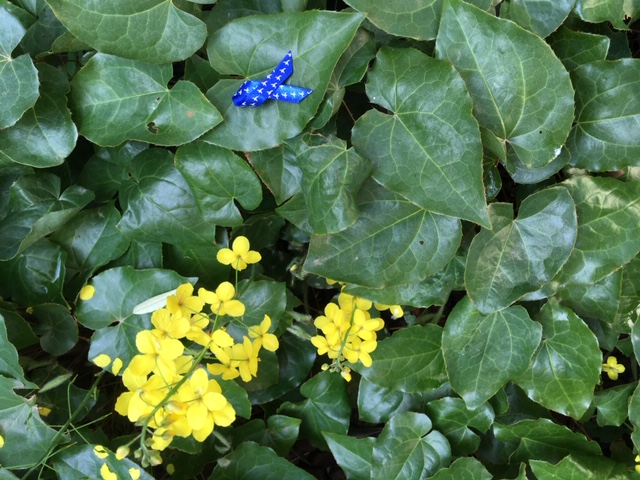 Ruban sur fleurs