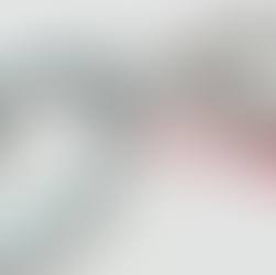 SPFPA President in Detroit Sentenced for Larceny - Larceny - : the unlawful taking of personal property with intent to deprive the rightful owner of it permanently. 