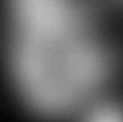 Joseph Civello, Dallas mafia boss