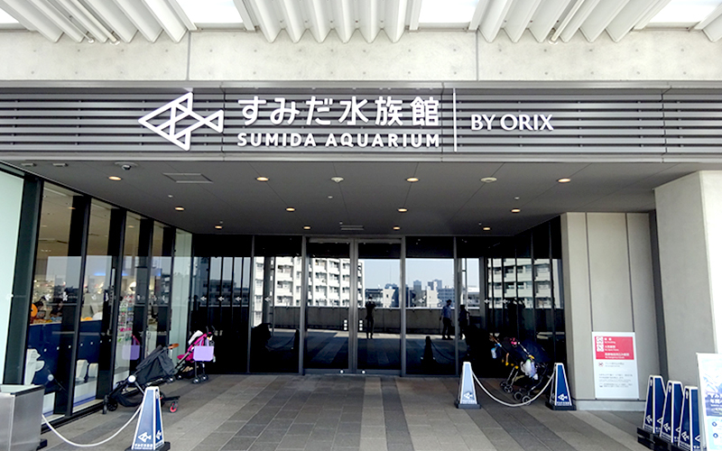 今“日”分享—墨田水族馆