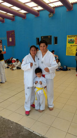 Familia en TaeKwonDo