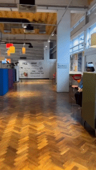 IMG_0914 (2).gif