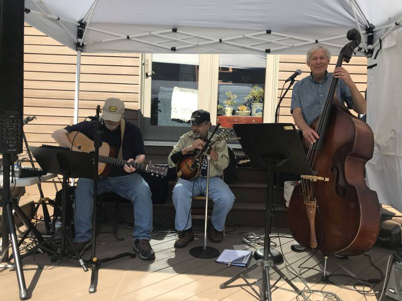 Picking & Struming 2019