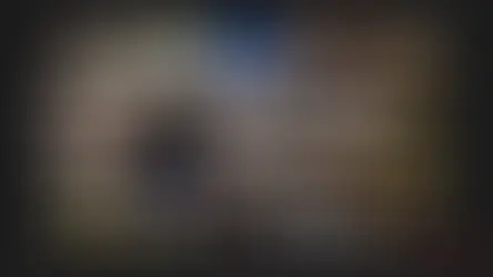 Coaching de una nueva dimensión: ¡ha comenzado la 127ª cohorte de coaching en COACHING.UP!