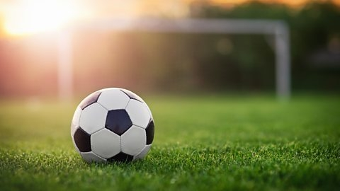 Kinh nghiệm bắt kèo châu Á hiệu quả nhất
content media