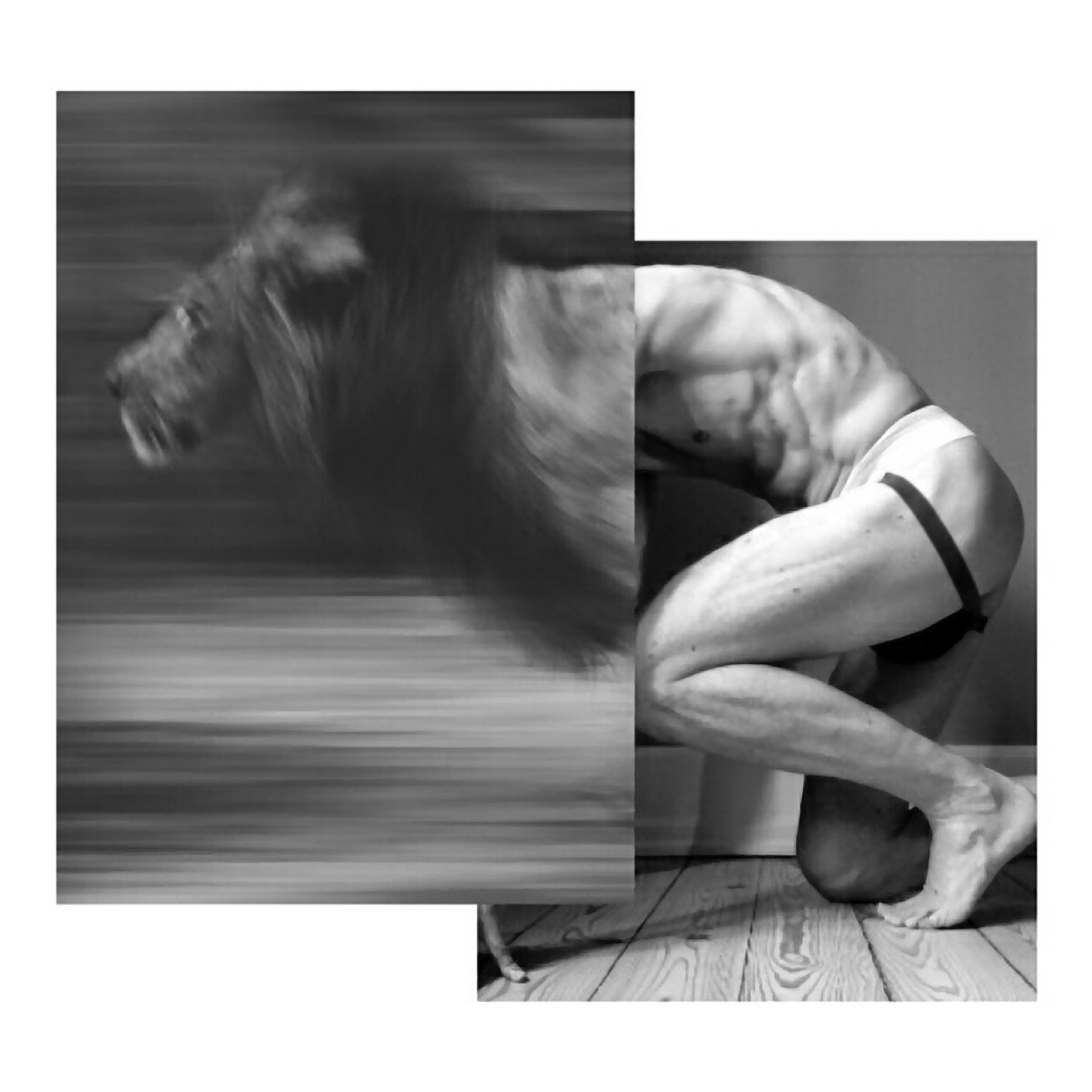lionman Naro Pinosa