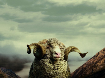 RAM MOON MOXY